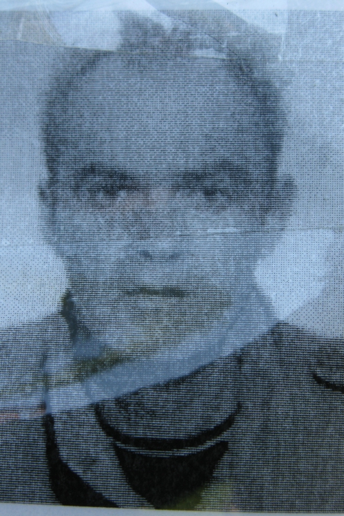 Dragan  Arnautović (49)
