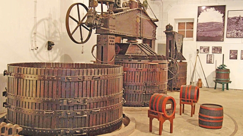 Najstarije vino u  podrumu je „žilavka“  iz 1931. godine, a  najmlađe vino staro  je 55 godina
