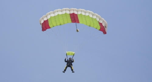 Entoni Martin se oslobodio iz kovčega u letu / Foto: AP | Foto: 