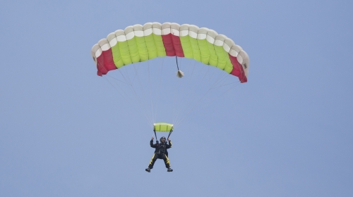 Entoni Martin se oslobodio iz kovčega u letu / Foto: AP