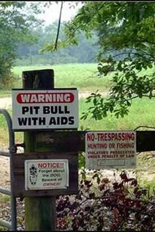 Upozorenje! Pitbul sa AIDS-om!