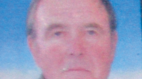 Vitomir (73)