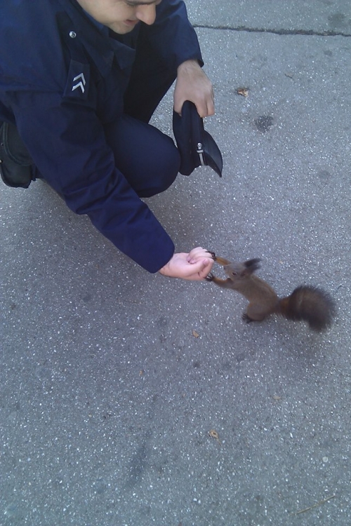 Policajac i veverica