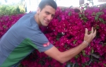 nole