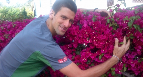 nole