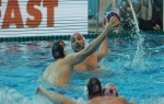 VK Crvena zvezda