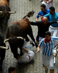 Pamplona