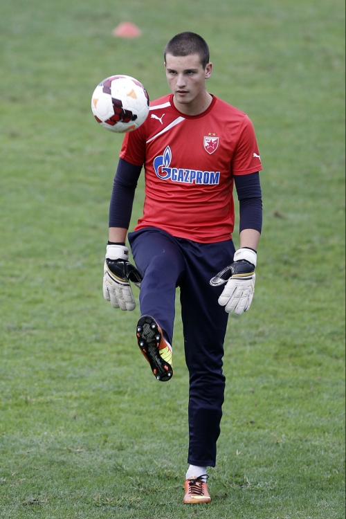 Predrag Rajković