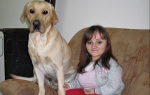 Da se kreće  u kolicima  često joj  pomaže  labrador Badi