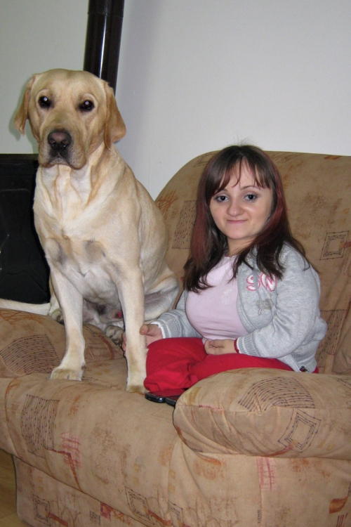 Da se kreće  u kolicima  često joj  pomaže  labrador Badi