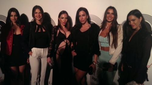 Modelsice