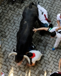 Pamplona Trka sa bikovima