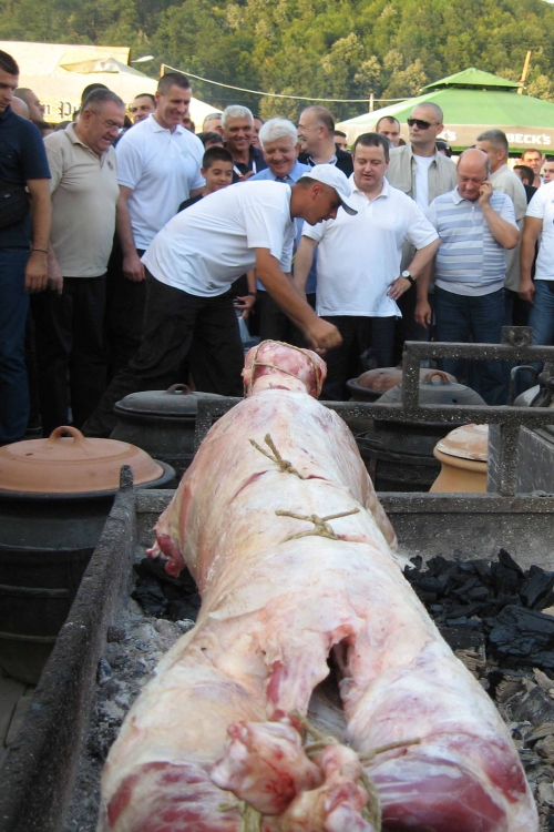 Dačić u Guči / Foto: Biljana Nenković