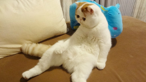 snupibejb