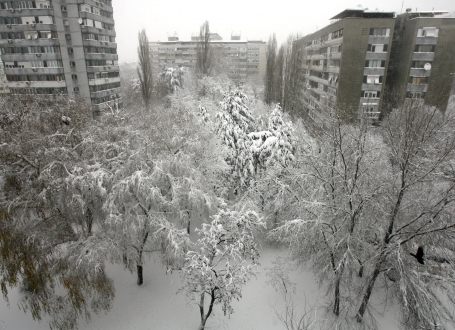 Zavejani u snegu