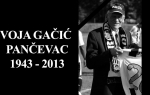 voja pančevac