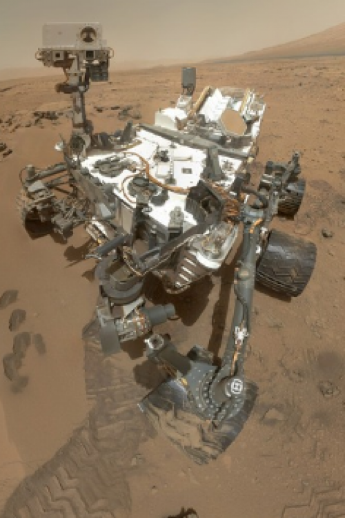 Rover