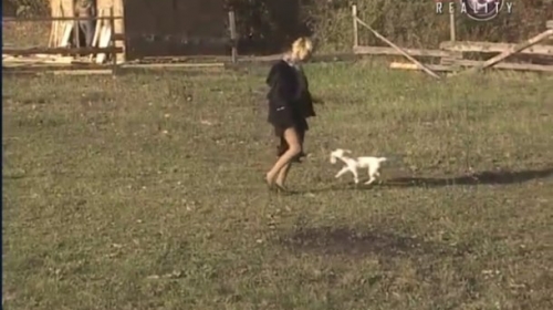 Roki bi da se igra