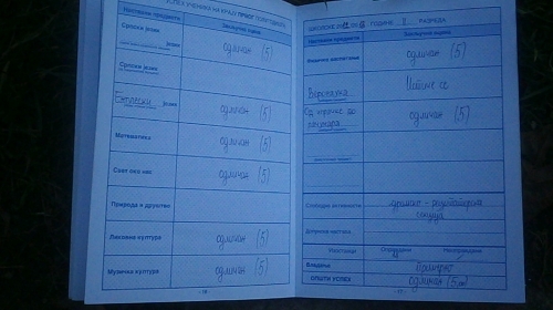 Vuk ima sve petice