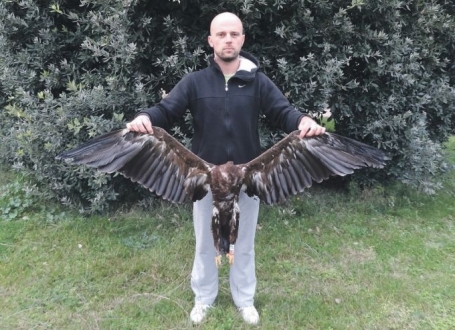 Poljski Orao