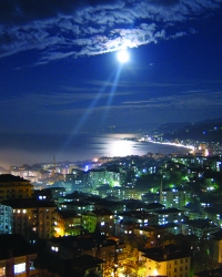 Rize