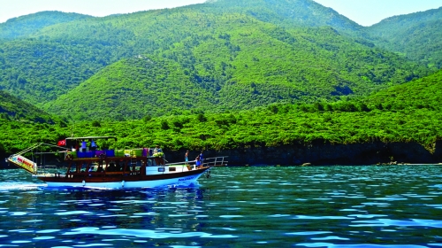Rize