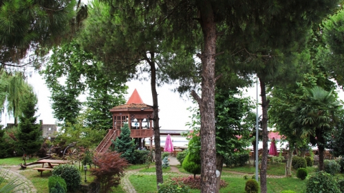 Rize