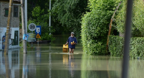 Dunav se izlio kod Bezdana i ugrožava naselje | Foto: Beta