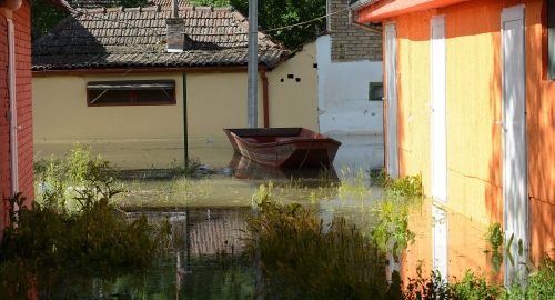 Dunav se izlio kod Bezdana i ugrožava naselje | Foto: 