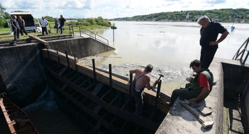 Dunav se izlio kod Bezdana i ugrožava naselje | Foto: 