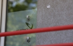 Kosovska Mitrovica Napad na prostorije portala Košev | Foto: Tanjug/Boki TJ