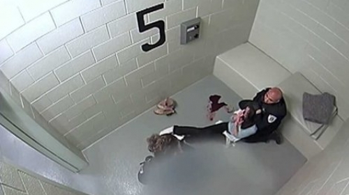 Policijaska brutalnost