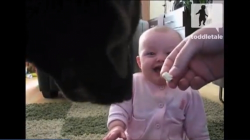Beba se smeje kuci i kokicama