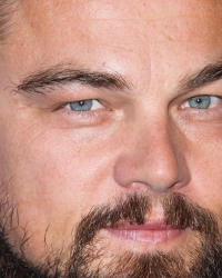 Hipsterski imidž:  Leonardo Dikaprio