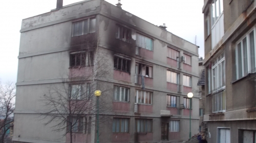 Horor u Dimitrija Tucovića 14