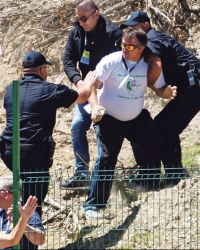 Iako postoje detaljni snimci,  samo je jedna osoba privedena