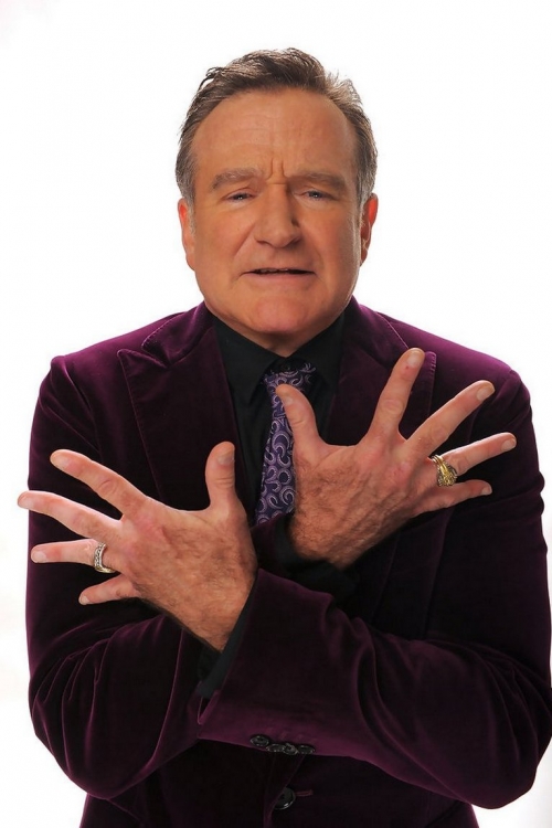 Robin Vilijams