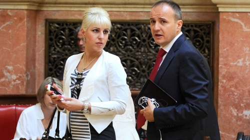 Idem na odmor u tazbinu