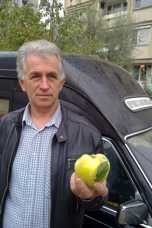 Milan Arsić