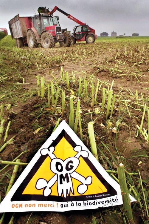Uvoz GMO je i uslov za EU