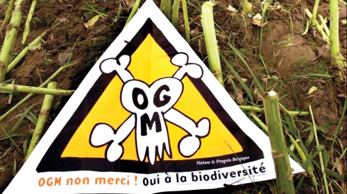 Uvoz GMO je i uslov za EU