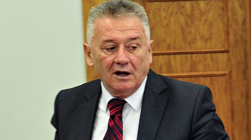Velimir  Ilić
