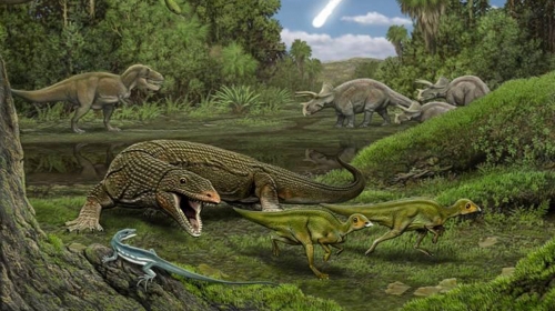 Obamadon gracilis