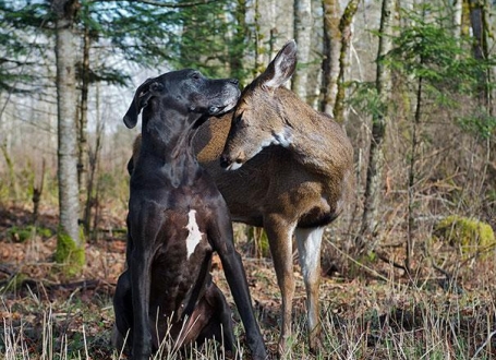 Kejt i Pipin / Foto: Isobel Springett