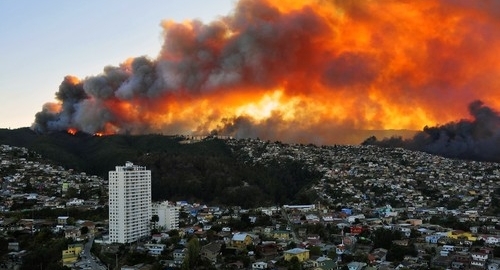Požati u Čileu / Foto: Profimedia | Foto: 
