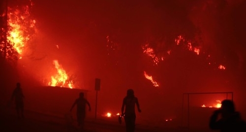 Požati u Čileu / Foto: Profimedia | Foto: 