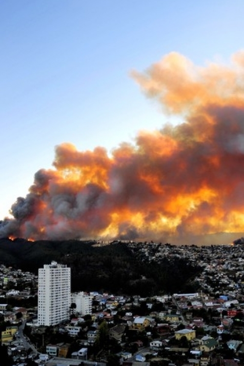 Požati u Čileu / Foto: Profimedia
