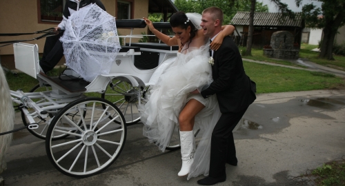 Svadba Slađine i Đoganijeve ćerke / Foto: Zoran Ilić | Foto: 