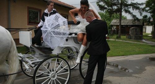 Svadba Slađine i Đoganijeve ćerke / Foto: Zoran Ilić | Foto: 
