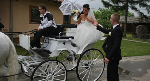 Svadba Slađine i Đoganijeve ćerke / Foto: Zoran Ilić | Foto: 